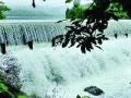 तुळशी तलाव ओसंडून वाहू लागला - Marathi News | The Tulsi lake started flowing over | Latest maharashtra News at Lokmat.com