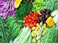 जुन्नरच्या शेतातील भाजी थेट शहरात - Marathi News | Vegetable from Junnar farm directly in the city | Latest maharashtra News at Lokmat.com
