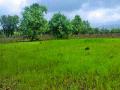 औरंगाबाद जिल्ह्यात साडेआठशे एकरवर सेंद्रिय शेतीचा प्रयोग - Marathi News | Use of organic farming in sixty eight acres of Aurangabad district | Latest maharashtra News at Lokmat.com