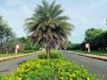 स्मार्ट लूक @ एअरपोर्ट रोड : - Marathi News | Smart Look @ Airport Road: | Latest nagpur News at Lokmat.com