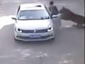 VIDEO: अरे बापरे ! वाघाने महिलेला फरफटत नेऊन केलं ठार - Marathi News | VIDEO: Hey father! Wagh struck a woman and killed him | Latest international News at Lokmat.com