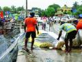 जीव धोक्यात घाला,मच्छीमारी लवकर करा - Marathi News | Danger the lives, make fisheries early | Latest thane News at Lokmat.com