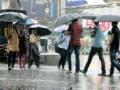 मुसळधार ... - Marathi News | The radiant ... | Latest nagpur News at Lokmat.com