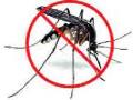 डेंग्यूचा डंख : मनुष्यबळाअभावी महापालिकेची दमछाकाू - Marathi News | Danger of Dengue: Due to the absence of manpower, | Latest nashik News at Lokmat.com