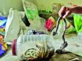 सर्पोद्यानातील सर्पांचा मृत्यू नेमका कशामुळे? - Marathi News | Why snake deaths in snake charmers? | Latest maharashtra News at Lokmat.com