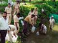 खुल्या कारागृहातील बंद्यांना मत्स्यपालनातून रोेजगार - Marathi News | Fisheries in open jails | Latest amravati News at Lokmat.com