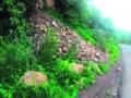 डोंगरातील दरड कोसळल्यामुळे धोका! - Marathi News | Due to the cracks in the mountains, the danger! | Latest buldhana News at Lokmat.com