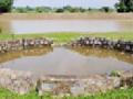 चेकपिंपरीत बोडी नूतनीकरणातून ५२ हेक्टरचे सिंचन - Marathi News | Irrigation of 52 hectares from check dam in Bodi renovation | Latest chandrapur News at Lokmat.com