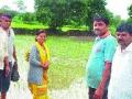 इगतपुरीत चार कोटींचे नुकसान - Marathi News | Four crore losses in Igatpuri | Latest nashik News at Lokmat.com