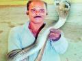 सर्पसंवर्धनासाठी जनजागृतीची गरज - Marathi News | Need for awareness of snake charming | Latest pune News at Lokmat.com