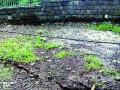 एलिफंटा लेणी परिसरात तडे - Marathi News | Elephanta caves crack in the surrounding area | Latest mumbai News at Lokmat.com