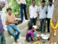 लिंबाच्या फांदीतून निघतोय पांढरा द्रव - Marathi News | White liquid emitting from citrus seedlings | Latest yavatmal News at Lokmat.com