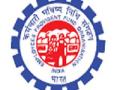अंगणवाडी, आशा प्रकल्प व माध्यान्न भोजनाच्या कर्मचाऱ्यांना पीएफ - Marathi News | PF for employees of Anganwadi, Asha Project and Mid-day meal | Latest national News at Lokmat.com