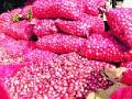 कांद्याला शंभर रुपये सानुग्रह? - Marathi News | One hundred rupees of onion deal? | Latest nashik News at Lokmat.com