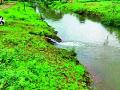 पुणेगावचे पाणी पोहचले ४४ किमीपर्यंत - Marathi News | Pune water reached 44 km | Latest nashik News at Lokmat.com