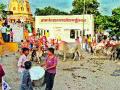 मुंजवाडला बैलांची मिरवणूक - Marathi News | The procession of bullock in Munjwad | Latest nashik News at Lokmat.com