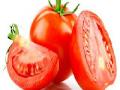 टोमॅटो आगाराचे अर्थकारण कोलमडले - Marathi News | The reason for the tomato fire collapses | Latest pune News at Lokmat.com