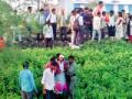 रेल्वेरूळ ओलांडणे जीवावर बेतले - Marathi News | Cross over the railway crossing | Latest nagpur News at Lokmat.com