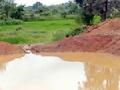 तलावाच्या पाळीला पडल्या भेगा - Marathi News | The pavement fell on the ground | Latest bhandara News at Lokmat.com