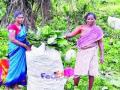 वडाची पाने, कडुलिंबाच्या काडीवर तरला संसार - Marathi News | Vada leaves, leavened world on neem leaves | Latest maharashtra News at Lokmat.com