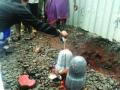 खोदकामात सापडली शिवलिंगे - Marathi News | Shivalinga found in khodakam | Latest maharashtra News at Lokmat.com
