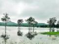 प्रतिंिबंब... - Marathi News | Respect ... | Latest amravati News at Lokmat.com
