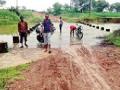 पावसाचे दमदार आगमन; बळीराजा सुखावला - Marathi News | The advent of rain; Baliharaja has dried up | Latest bhandara News at Lokmat.com