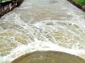 सोंड्याटोल्यातून पाण्याचा उपसा - Marathi News | Water pump | Latest bhandara News at Lokmat.com