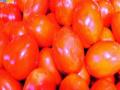 टोमॅटोच्या भावात घट - Marathi News | Due to tomato prices | Latest pune News at Lokmat.com