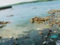 तर तलावाचे संरक्षण कसे होणार? - Marathi News | How to protect the lake? | Latest nagpur News at Lokmat.com