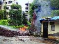 झाड तोडताना गॅस पाइपलाइन फुटून आग - Marathi News | The gas pipeline bursting fire while breaking the tree | Latest maharashtra News at Lokmat.com