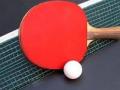 टेबल टेनिस स्पर्धेत शिवम दासचा धक्कादायक विजय - Marathi News | Shivam Das's shocking victory over table tennis championship | Latest maharashtra News at Lokmat.com