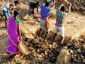 नोंद आठ लाख मजुरांची, कामावर केवळ पाच हजार - Marathi News | Eight lakh laborers, only five thousand at work | Latest yavatmal News at Lokmat.com