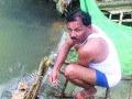 किवाची मासेमारी जोरात, रोजगाराची संधी - Marathi News | Fishery fishing, a job opportunity | Latest thane News at Lokmat.com