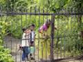 आस नातवांच्या शिक्षणाची : - Marathi News | Education for his grandfather: | Latest nagpur News at Lokmat.com