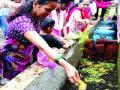 सोसायटीत उभारला गांडूळ खत प्रकल्प - Marathi News | Vermicompost fertilizer project in the society | Latest maharashtra News at Lokmat.com