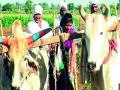 आदिवासींच्या कृषिक्रांतीतील दीपशिखा ‘नासरी’ - Marathi News | Deepshikha 'Nashari' in Tribal Agriculture | Latest akola News at Lokmat.com