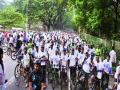 सायक्लोथॉनमध्ये झुंबा वर्कआउटची धम्माल - Marathi News | The work of the zombie workshop in Cyclothon | Latest mumbai News at Lokmat.com