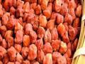 महाबीजद्वारे दोन लाख क्विंटल हरभरा बियाणांची तजवीज! - Marathi News | Mahabaj's contribution of two lakh quintals of green seeds! | Latest akola News at Lokmat.com