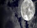 कोजागिरीच्या चंद्रप्रकाशात घडविला इतिहास - Marathi News | History of Kojagiri's moonlight | Latest maharashtra News at Lokmat.com