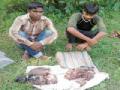 रानडुकरांची शिकार करणाऱ्या दोघांना अटक - Marathi News | The two hunter hunters were arrested | Latest gadchiroli News at Lokmat.com