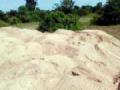 तामसवाडी येथे रेतीचा अवैध साठा - Marathi News | The illegal sandstorm in Tamaswadi | Latest bhandara News at Lokmat.com