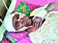 पोहीत जंगली श्वापदाचा हल्ला - Marathi News | Wild wild beast attack | Latest nashik News at Lokmat.com