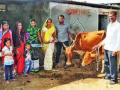 प्रकाशपर्वास प्रारंभ - Marathi News | Start the light | Latest nashik News at Lokmat.com