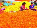 दिवाळीनिमित्त झेंडूंनी बाजार फुलला - Marathi News | The market for the Diwali festival blossomed | Latest nashik News at Lokmat.com