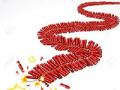 फटाके स्टॉल धोक्याबाहेर, ठामपाचा दावा - Marathi News | Fireworks Stall Out of Fault, Thump Claim | Latest thane News at Lokmat.com