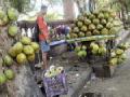 कस्तूरचंद पार्कला अतिक्रमणाचा विळखा - Marathi News | Encroachment of encroachment at Kasturchand Park | Latest nagpur News at Lokmat.com