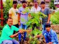 केरळचे नायर कोल्हापुरात करतायत वृक्षसंवर्धन.. - Marathi News | Kerala Nair tree planting trees in Kolhapur .. | Latest maharashtra News at Lokmat.com