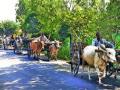 नाशिकच्या पूर्व भागात ऊसतोड कामगार दाखल - Marathi News | In the east of Nashik, the oasodond workers were lodged | Latest nashik News at Lokmat.com