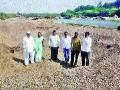 सावकीत वाळूचा अवैध उपसा - Marathi News | Illegal slaughter of saline sand | Latest nashik News at Lokmat.com